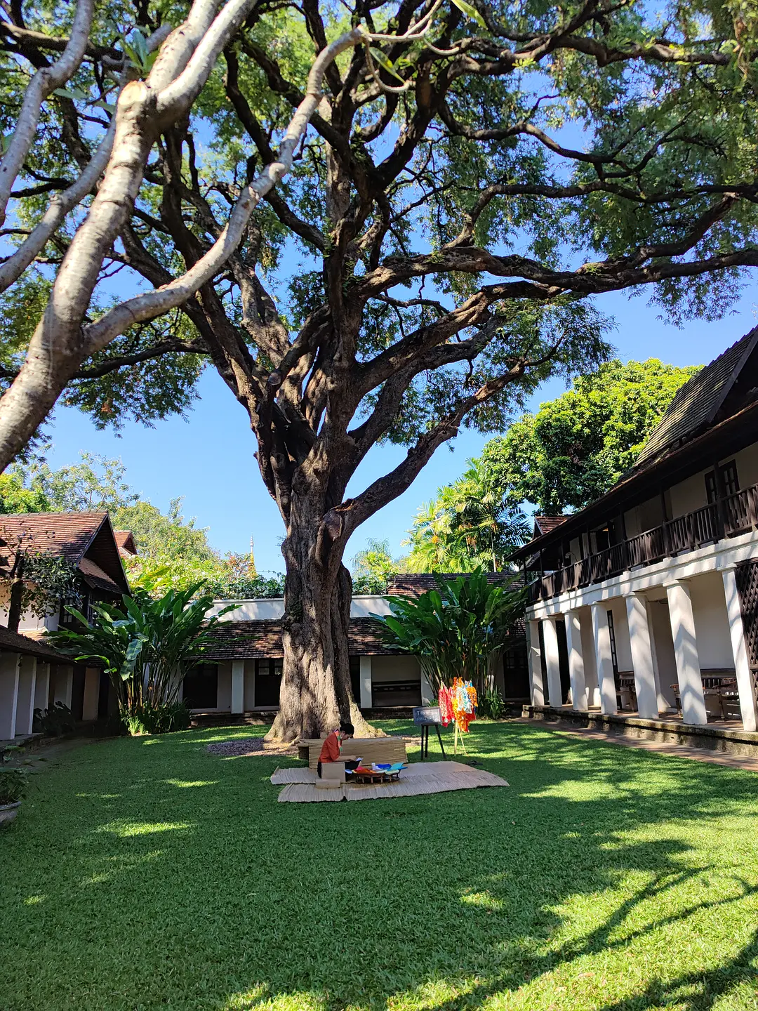 Chiang Mai-Hotel reviews: BED Nimman, Tamarind village, El Barrio Lanna, Gord Chiangmai, Burirattana, Arte House, Anantara, Inn Oon, Naginoya