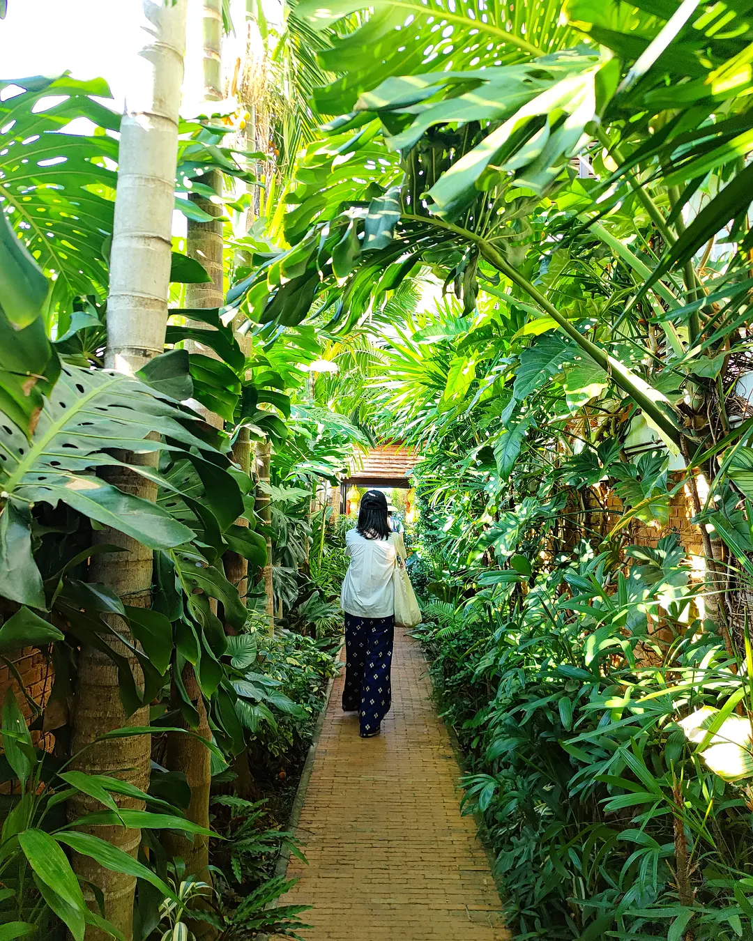 Chiang Mai-Hotel reviews: BED Nimman, Tamarind village, El Barrio Lanna, Gord Chiangmai, Burirattana, Arte House, Anantara, Inn Oon, Naginoya