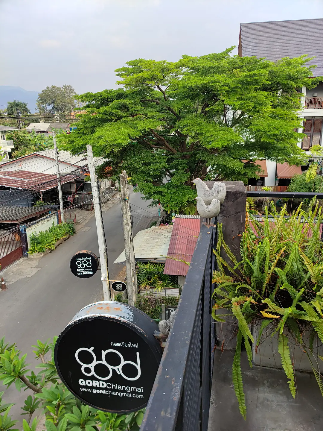 Chiang Mai-Hotel reviews: BED Nimman, Tamarind village, El Barrio Lanna, Gord Chiangmai, Burirattana, Arte House, Anantara, Inn Oon, Naginoya