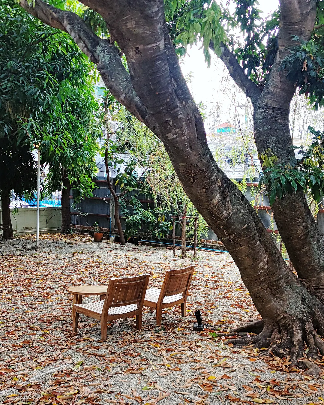 Chiang Mai-Hotel reviews: BED Nimman, Tamarind village, El Barrio Lanna, Gord Chiangmai, Burirattana, Arte House, Anantara, Inn Oon, Naginoya