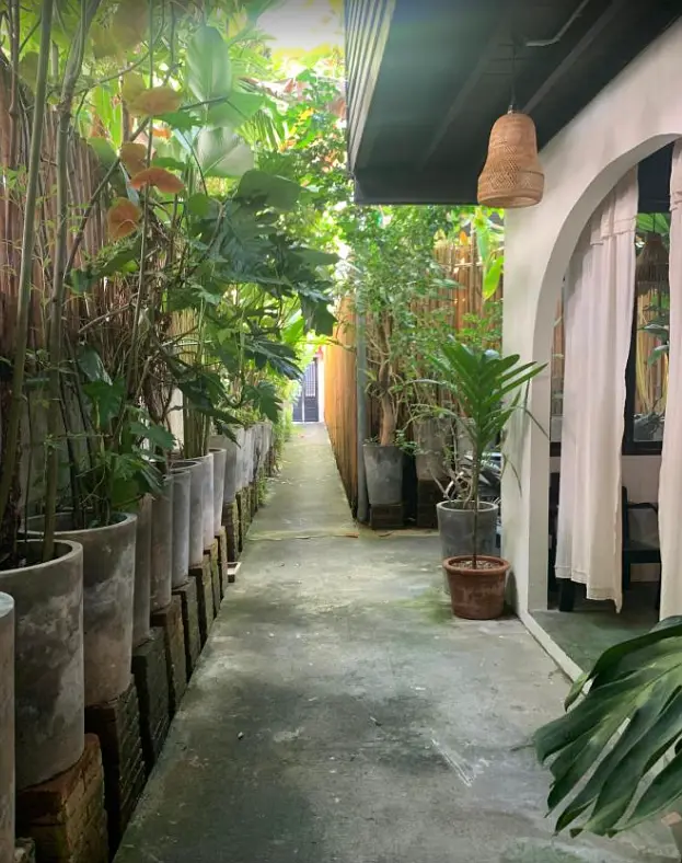 Chiang Mai-Hotel reviews: BED Nimman, Tamarind village, El Barrio Lanna, Gord Chiangmai, Burirattana, Arte House, Anantara, Inn Oon, Naginoya