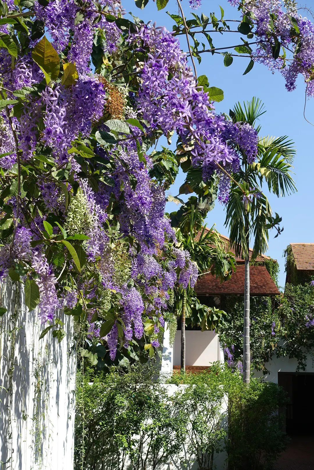 Chiang Mai-Raya Heritage Chiang Mai's top luxury hotel renovation trip, close to nature