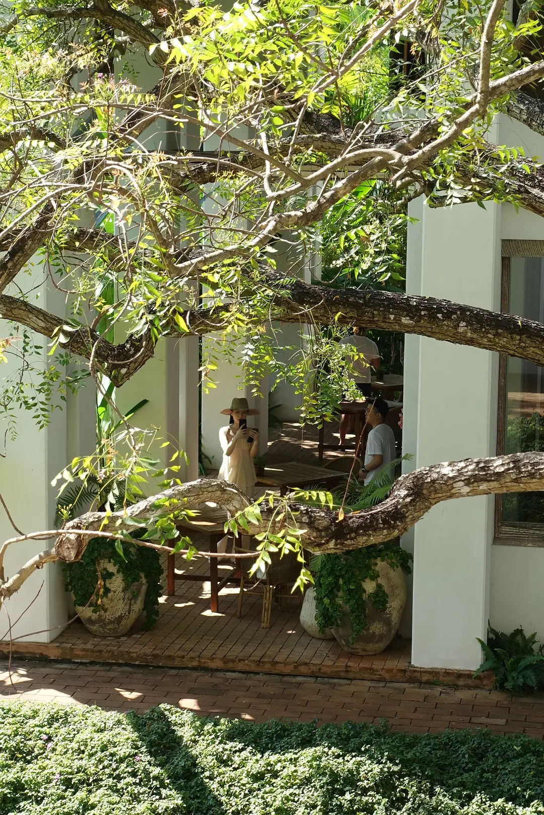 Chiang Mai-Raya Heritage Chiang Mai's top luxury hotel renovation trip, close to nature