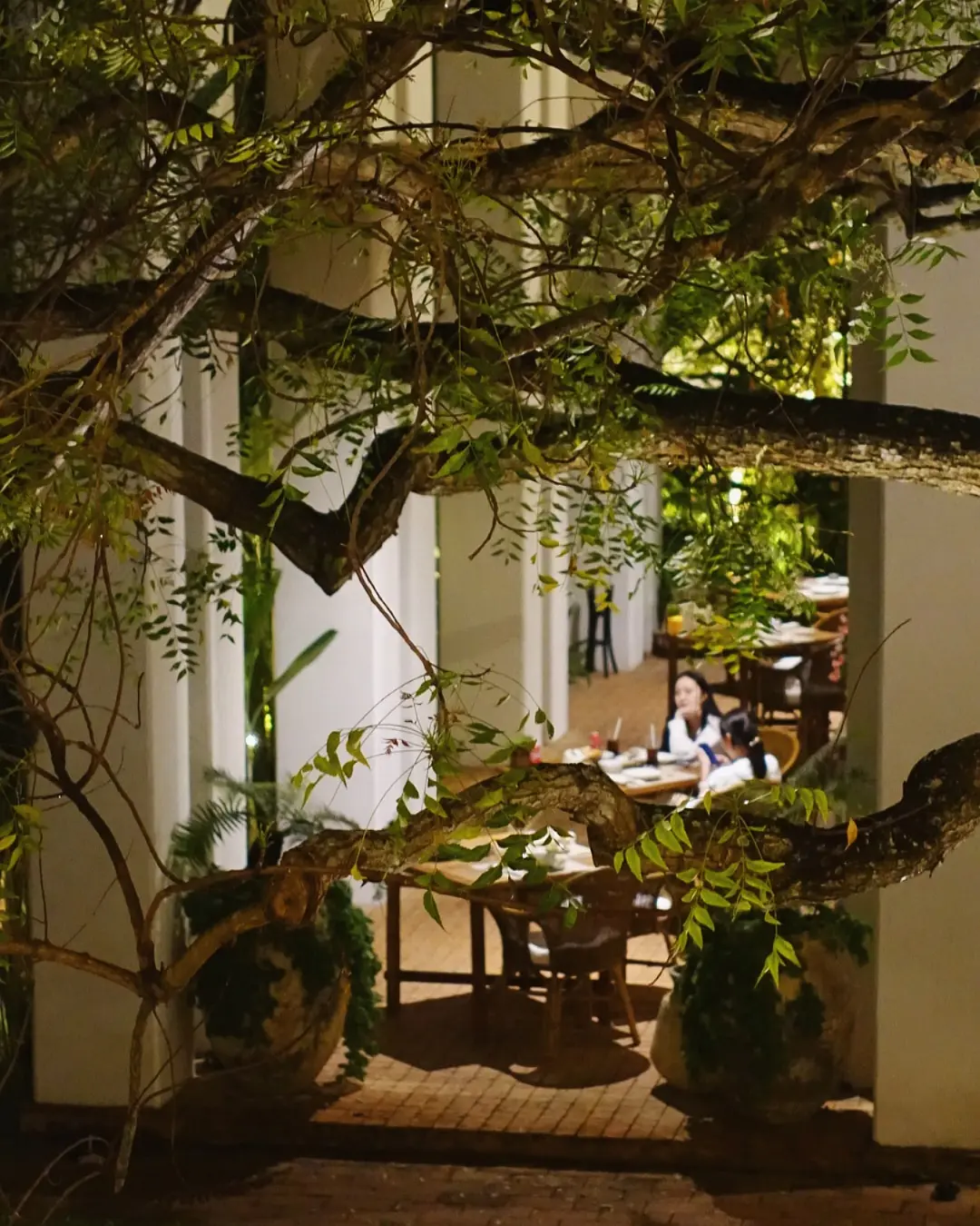 Chiang Mai-Raya Heritage Chiang Mai's top luxury hotel renovation trip, close to nature