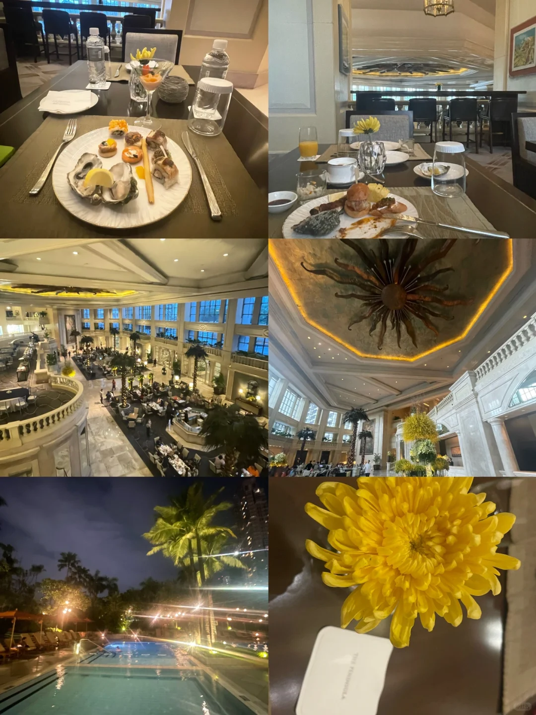 Manila/Luzon-Philippines Hotel Recommendation Grand Hyatt Peninsula Conrad Who is the King?