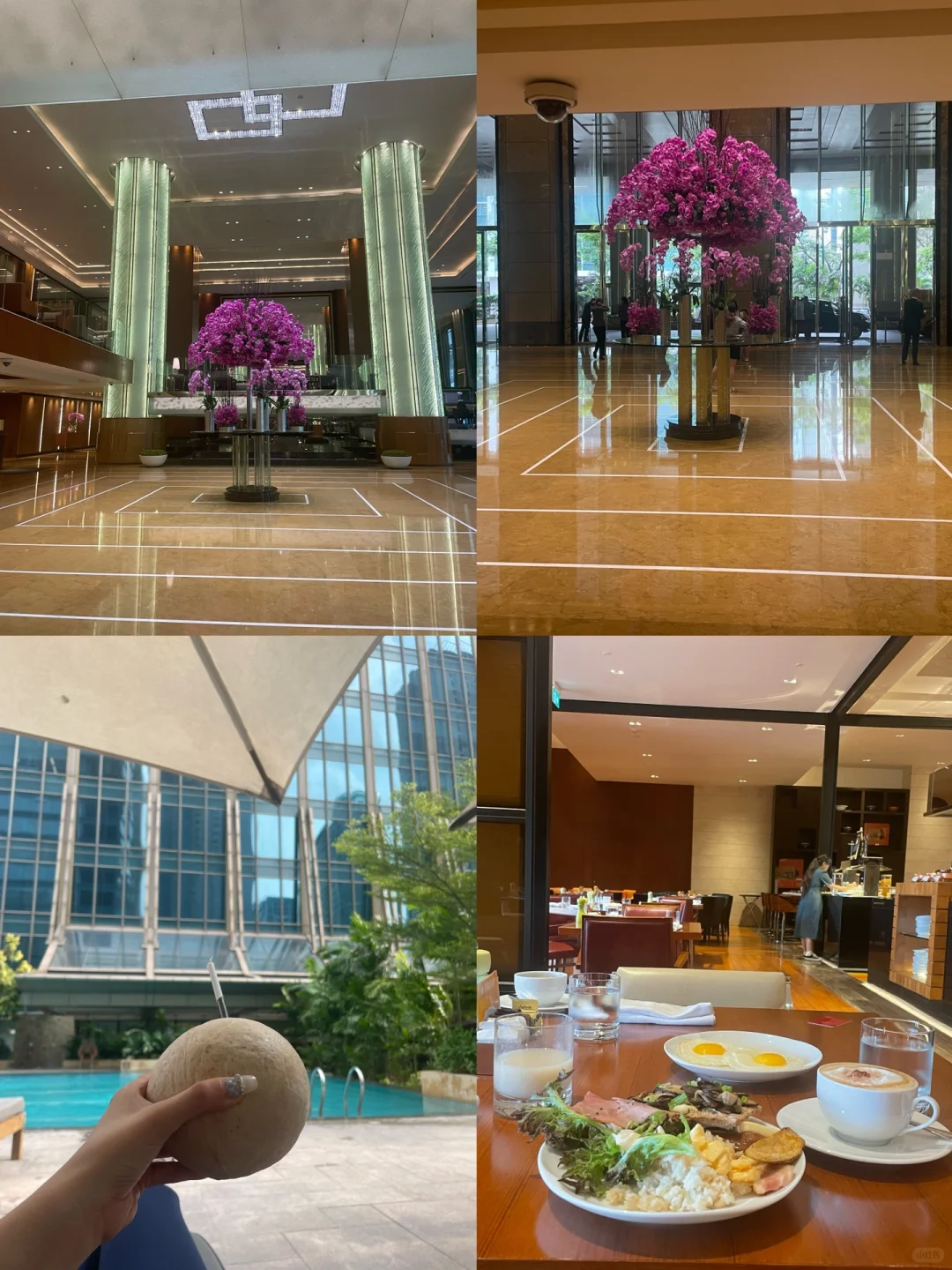 Manila/Luzon-Philippines Hotel Recommendation Grand Hyatt Peninsula Conrad Who is the King?