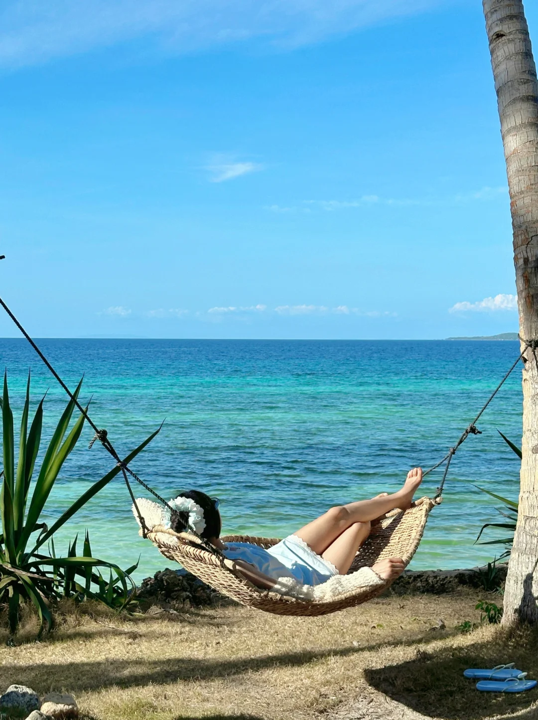Manila/Luzon-Philippines Manila Bohol Island and Siquijor 6 days and 5 nights travel guide?