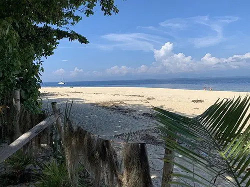 Cebu-Chase the seascape of Cebu, Philippines, kawasan fall, Ravenala white beach, sardine schools, turtle bay, glass sea