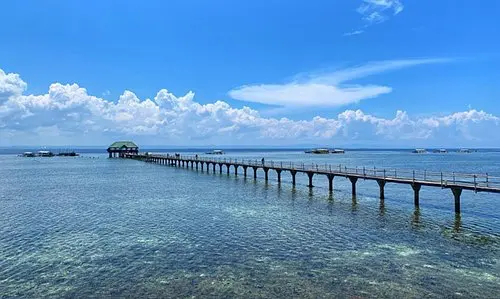 Cebu-Chase the seascape of Cebu, Philippines, kawasan fall, Ravenala white beach, sardine schools, turtle bay, glass sea