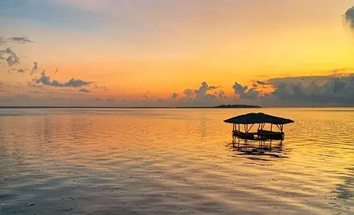 Cebu-Chase the seascape of Cebu, Philippines, kawasan fall, Ravenala white beach, sardine schools, turtle bay, glass sea