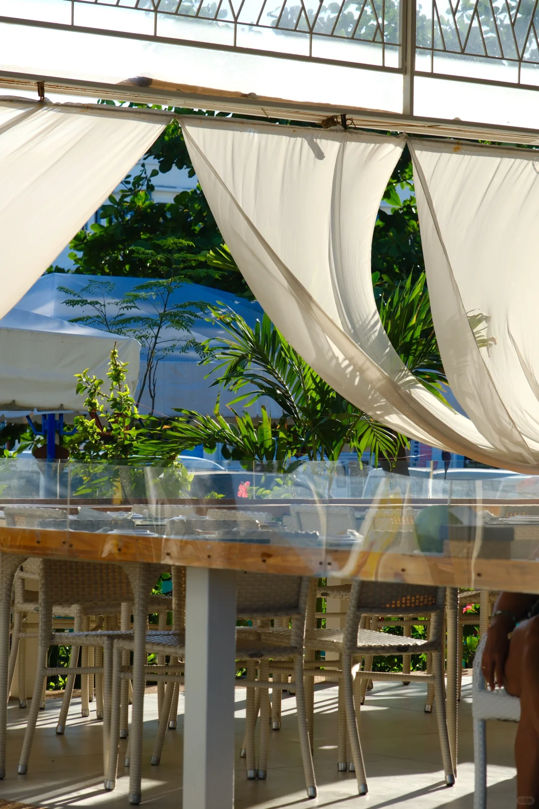 Cebu-Restaurants on Mactan Island in Cebu, Buko Seaside bar and Restaurant seafood cuisine