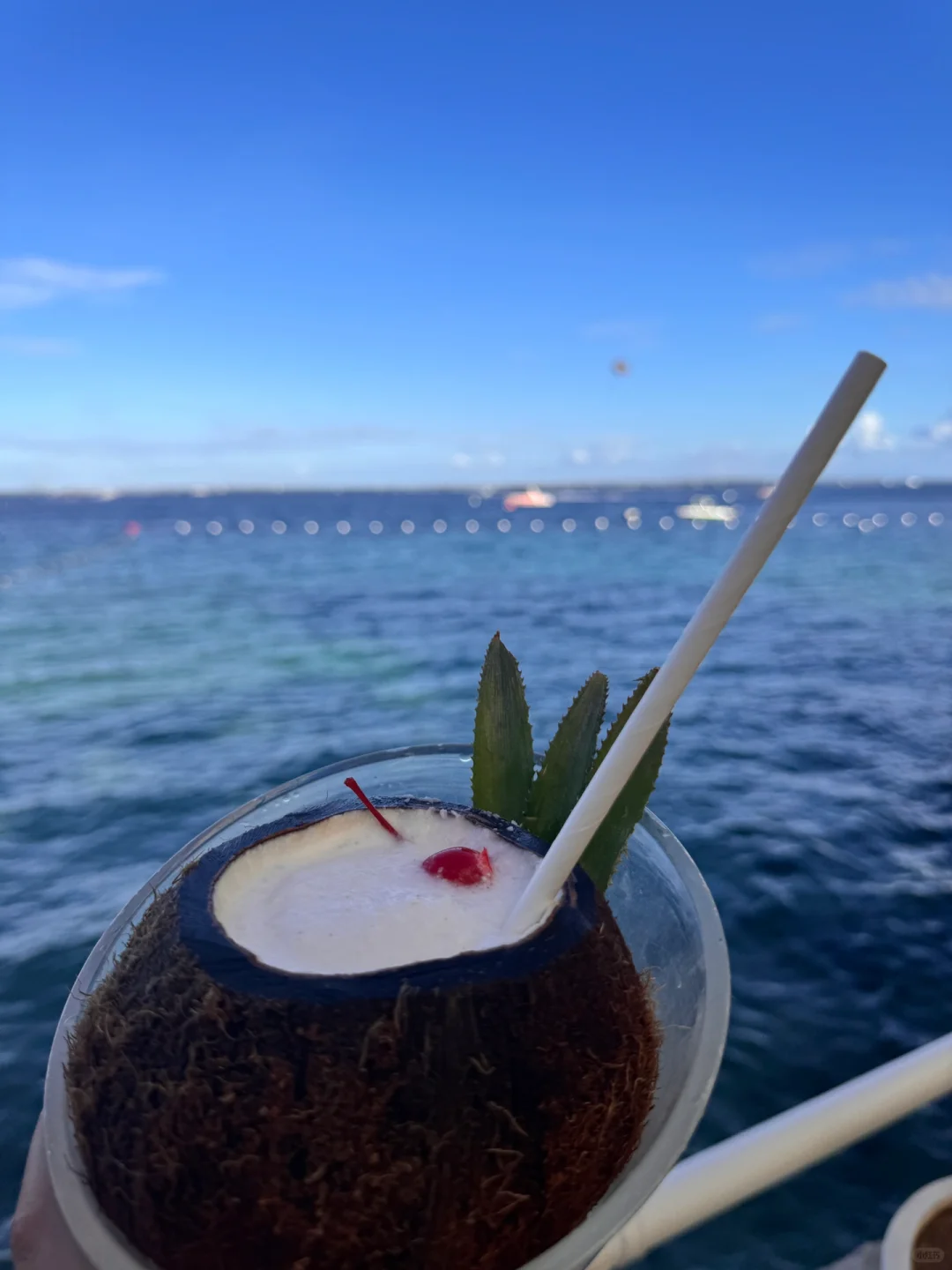 Cebu-Restaurants on Mactan Island in Cebu, Buko Seaside bar and Restaurant seafood cuisine
