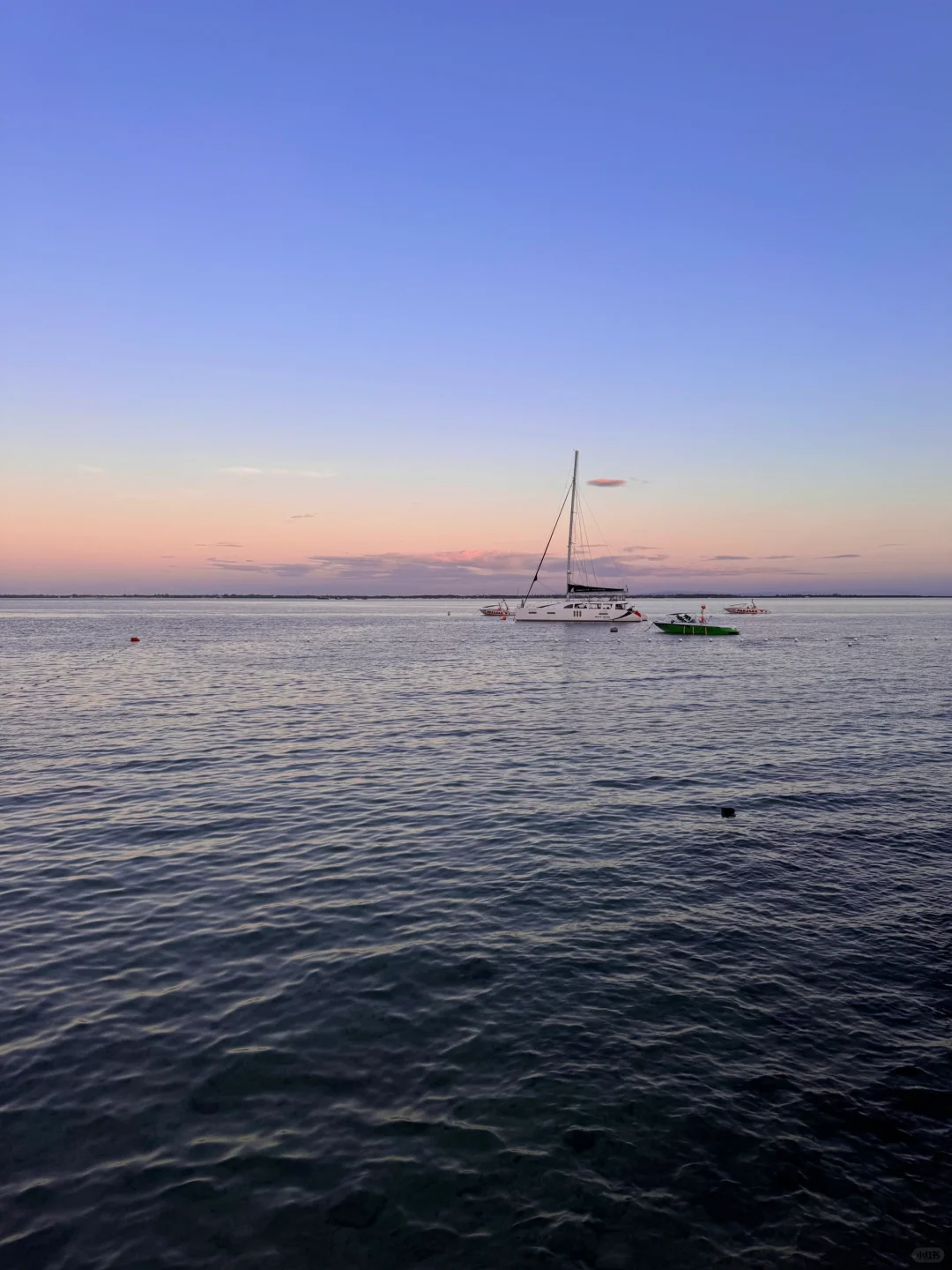 Cebu-Restaurants on Mactan Island in Cebu, Buko Seaside bar and Restaurant seafood cuisine