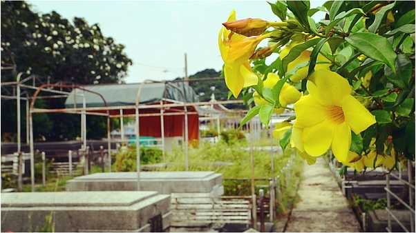 Manila/Luzon-Philippines Luzon Island City Track Travel Guide Follow the footsteps of volcanoes