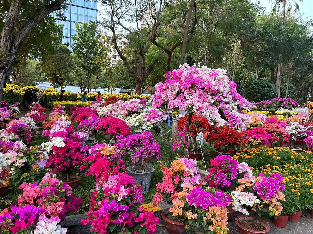 Ho Chi Minh-Ho Chi Minh City, Vietnam 5 days and 4 nights trip before Lunar New Year