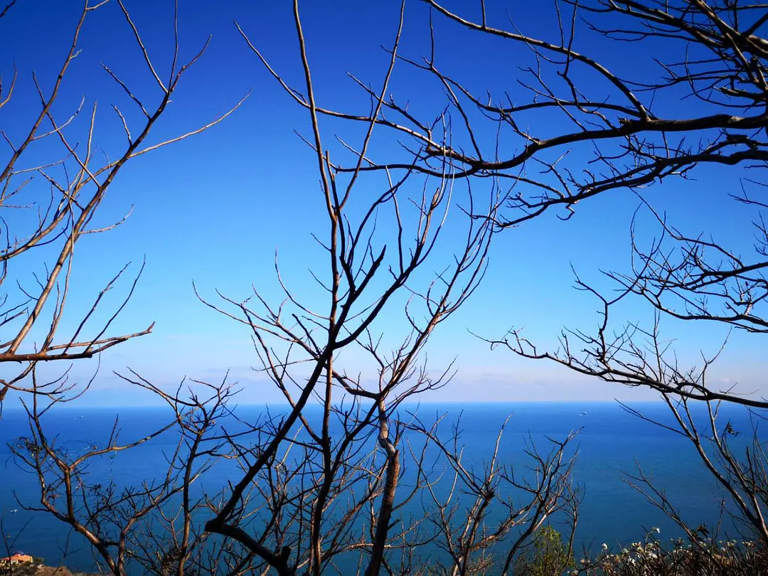 Ho Chi Minh-Vung Tau, a small town in Vietnam, a coastal city 110 kilometers away from Ho Chi Minh City
