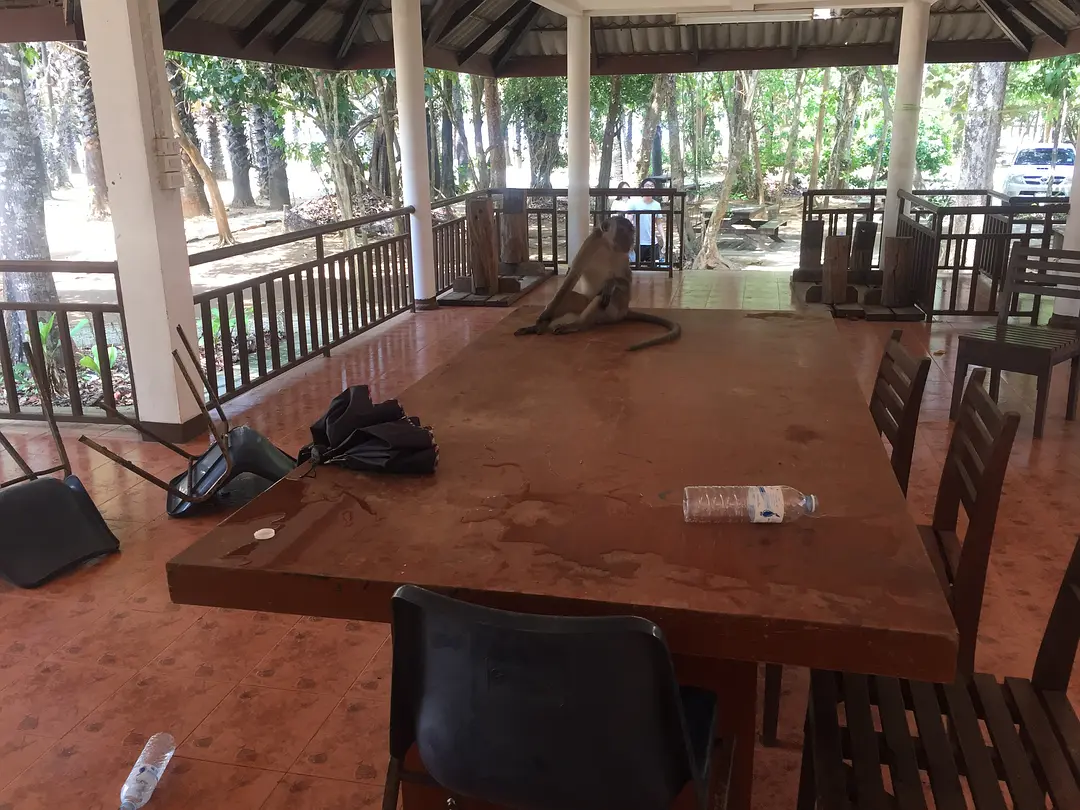 Krabi-Travel record of Bangkok, Krakong, Thailand, humid and hot Southeast Asia