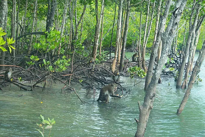 Krabi-Travel record of Bangkok, Krakong, Thailand, humid and hot Southeast Asia