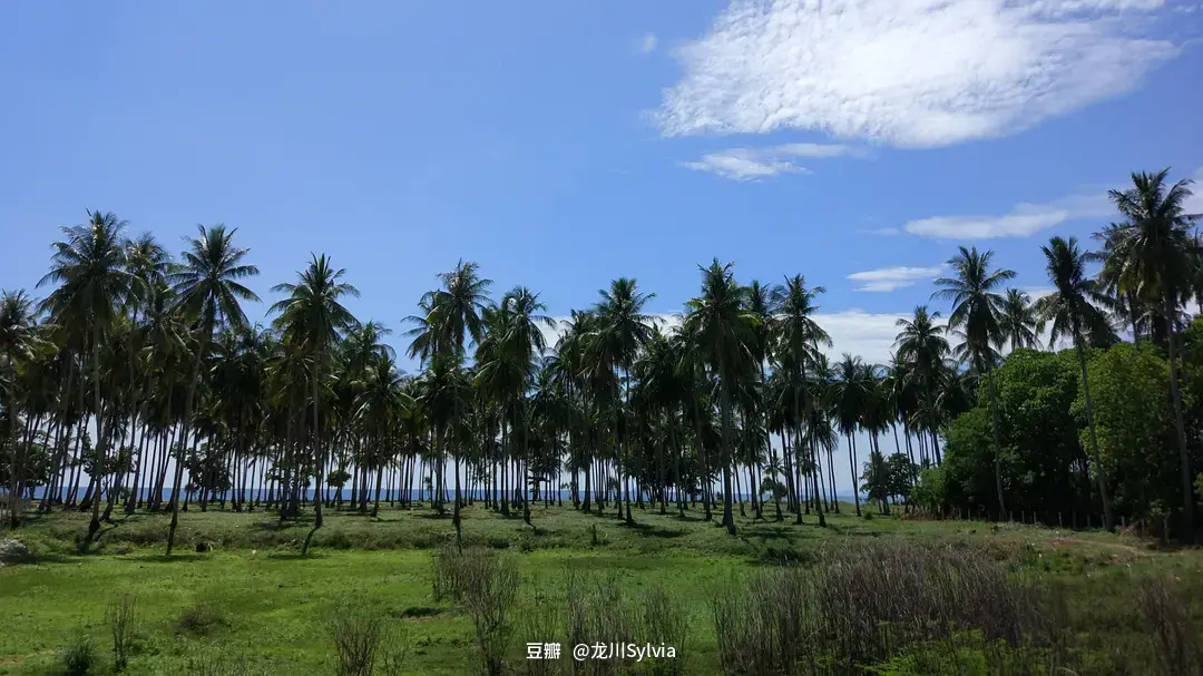 Krabi-Traveling to Krabi, Thailand, lovely locals, interesting friends and delicious food