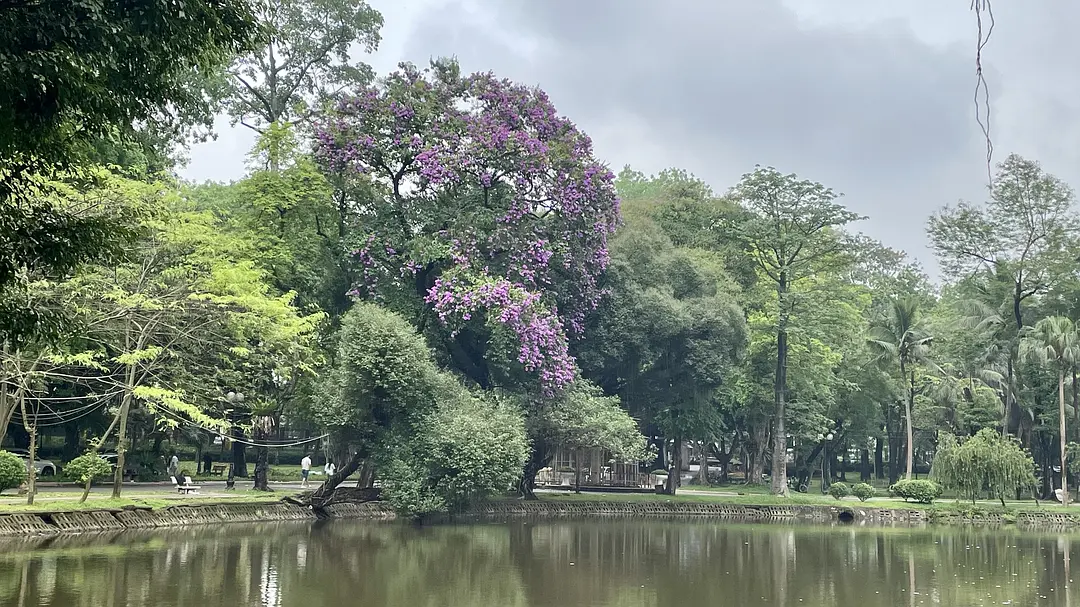 Hanoi-Hanoi, Vietnam: A city that dances crazily on your tongue, eyeballs and nerves