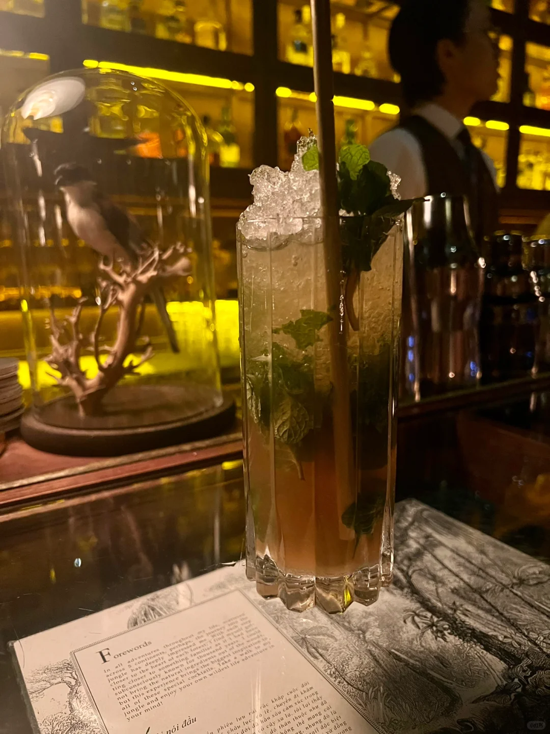 Hanoi-The Haflington, a hidden bar in Hanoi, Vietnam, has a great atmosphere
