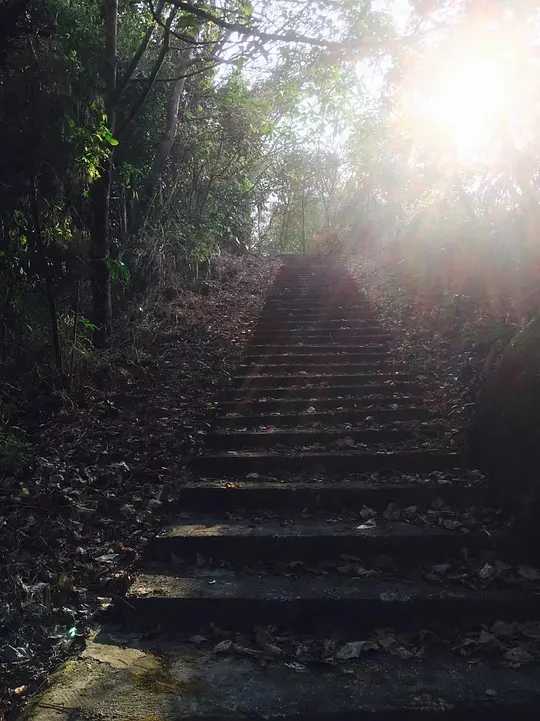 Hong kong-Lingdu Temple in Yuen Long, Hong Kong, cleansed my soul and spent a quiet afternoon