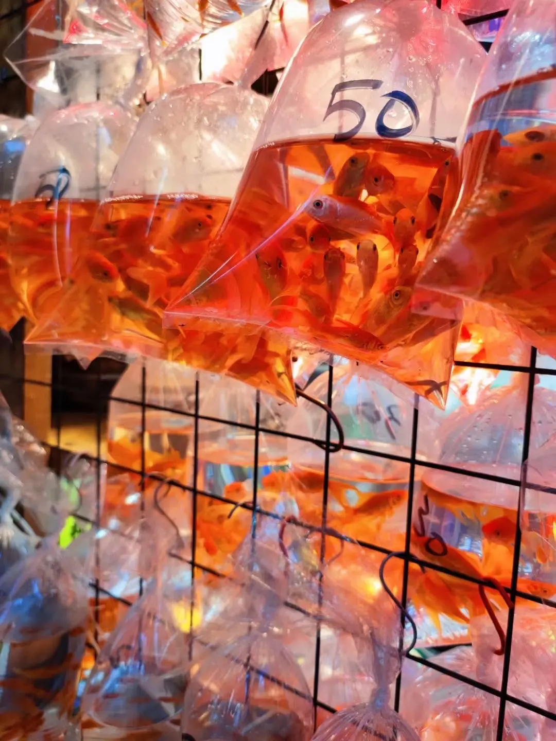 Hong kong-Hong Kong's free attractions don't necessarily have to cost money to have a good time