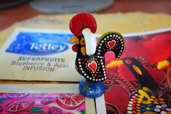 Macao-Macau Small Attractions Museum, Nanwan Garden, White Pigeon Nest Park, Yapo Well