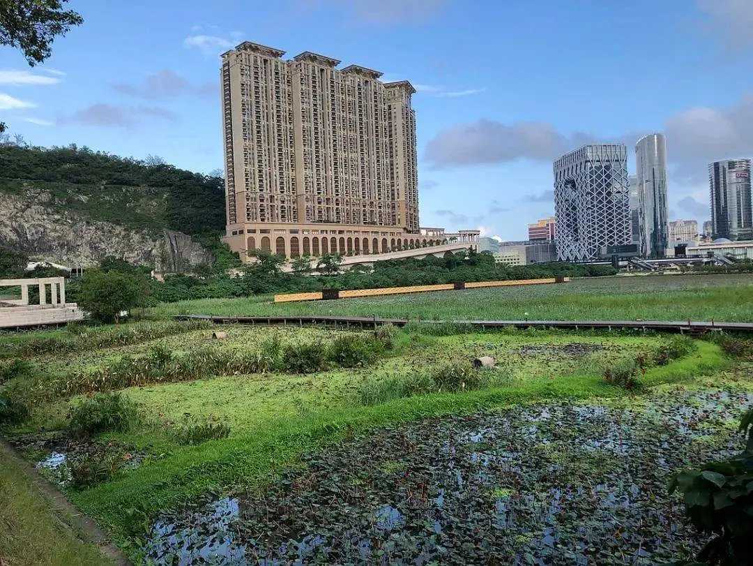 Macao-Master Macau’s green leisure attractions in one post, see the “Green Tour” guide!