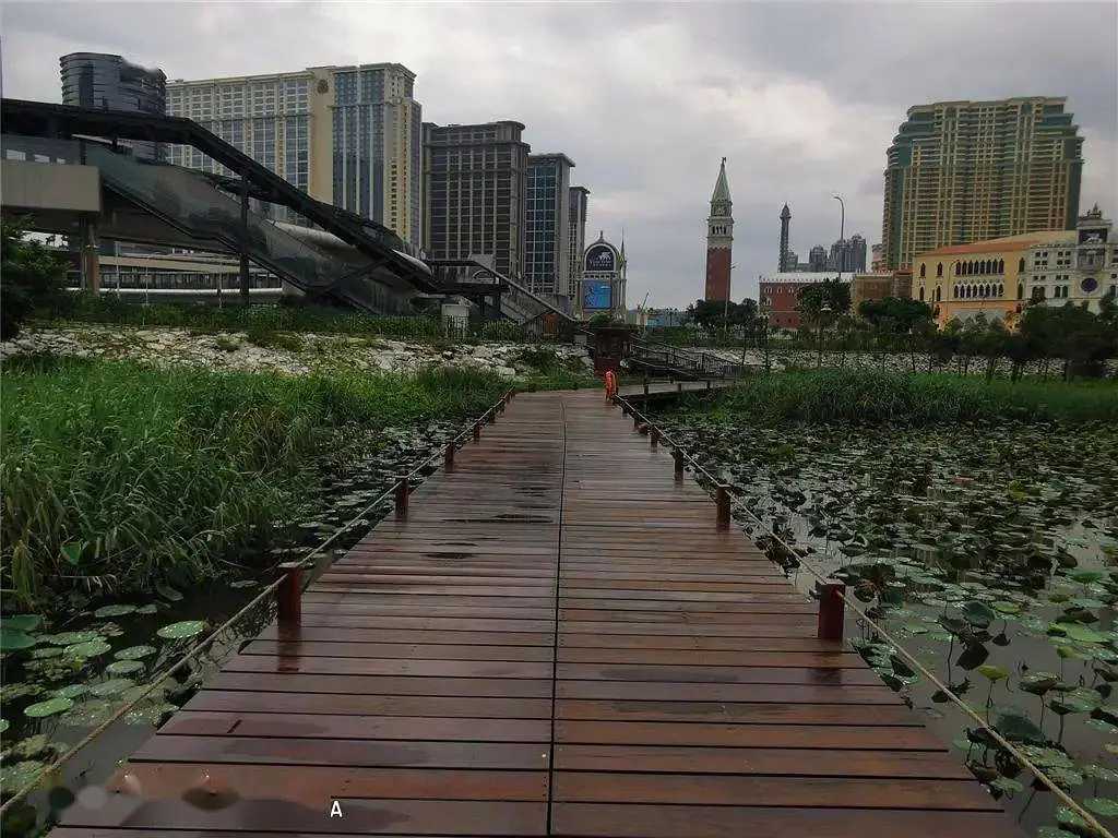Macao-Master Macau’s green leisure attractions in one post, see the “Green Tour” guide!