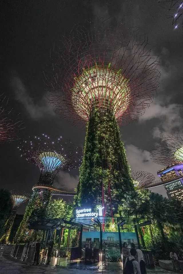 Singapore-Free check-in at Singapore's Supertree Grove, a wonderland resembling Avatar