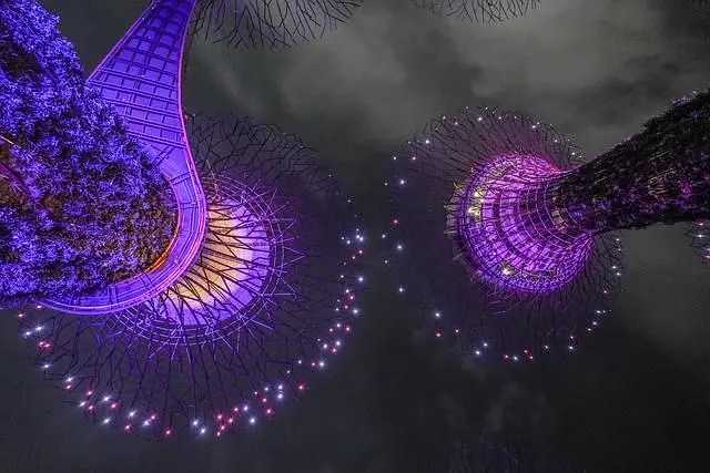 Singapore-Free check-in at Singapore's Supertree Grove, a wonderland resembling Avatar