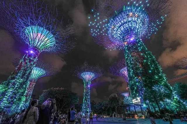 Singapore-Free check-in at Singapore's Supertree Grove, a wonderland resembling Avatar