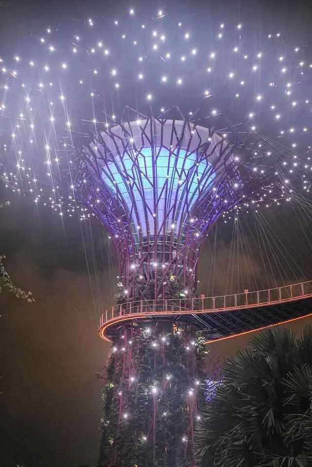 Singapore-Free check-in at Singapore's Supertree Grove, a wonderland resembling Avatar