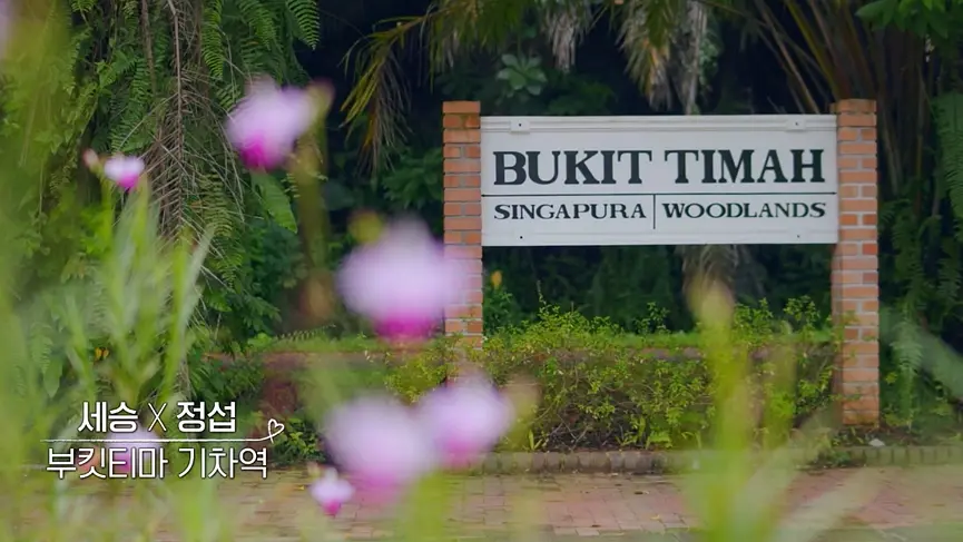 Singapore-Follow [Love Brother and Sister] to visit Singapore Travel Guide (Part 7) Bukit Timah