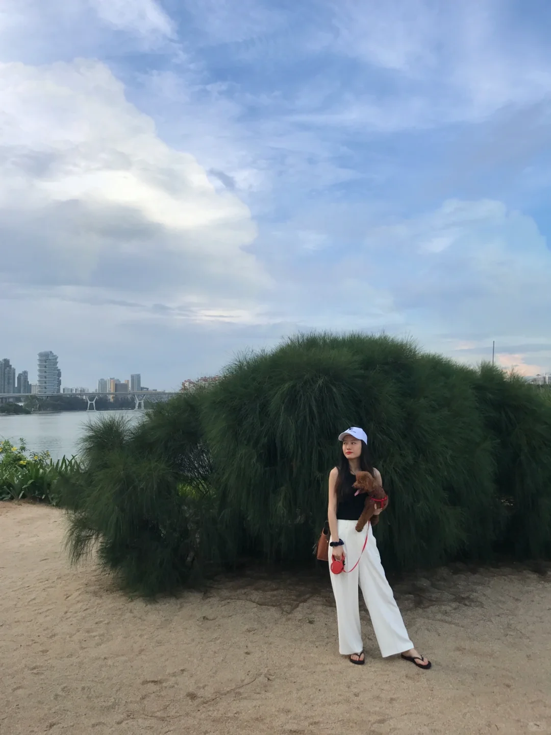 Singapore-The best walking route to see the Sands Ferris Wheel, Bay East Garden—Marina Barrage