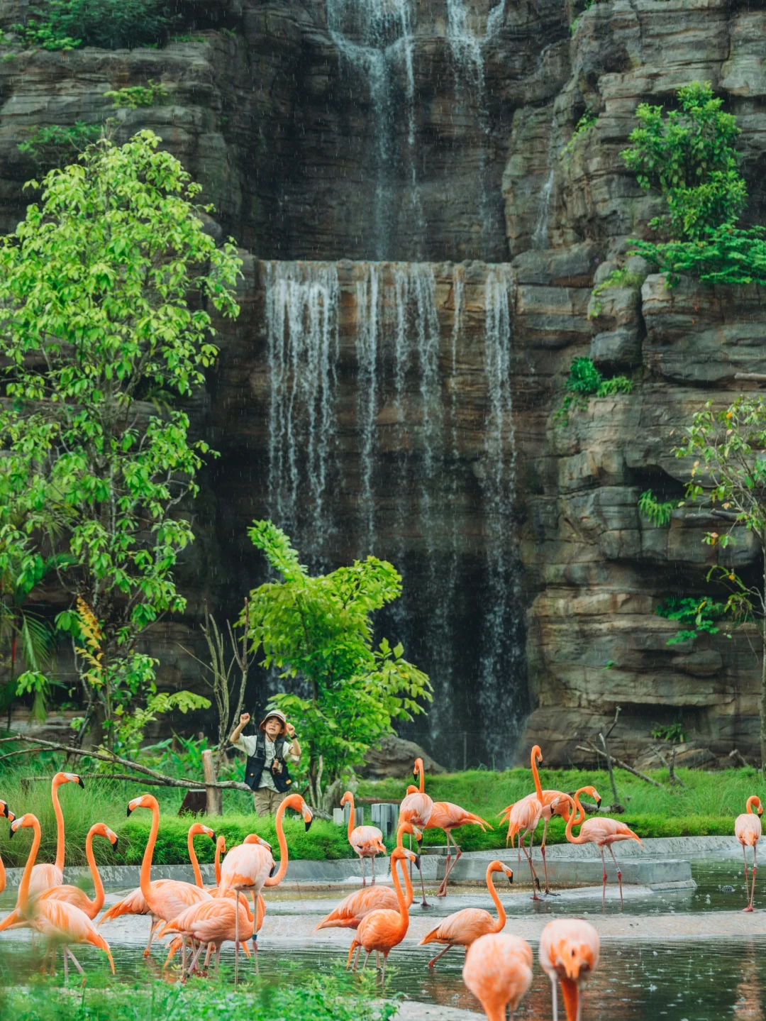 Singapore-Singapore Bird Park, including rainforest, wetlands, rice fields, eucalyptus forests and other environments