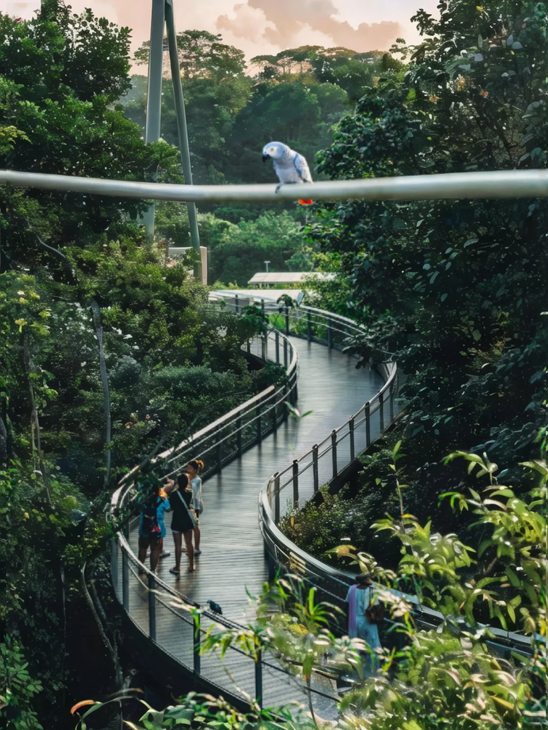 Singapore-Singapore Bird Park, including rainforest, wetlands, rice fields, eucalyptus forests and other environments