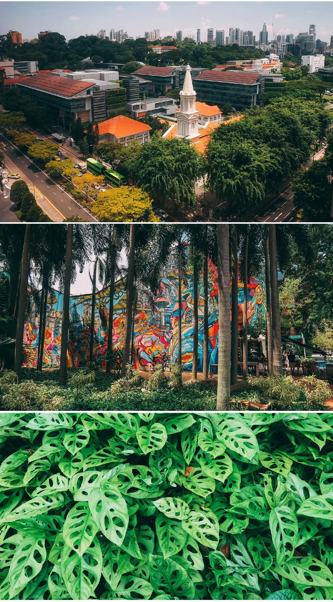 Singapore-Every Chinese person should experience Singapore once, with restaurant and hotel recommendations