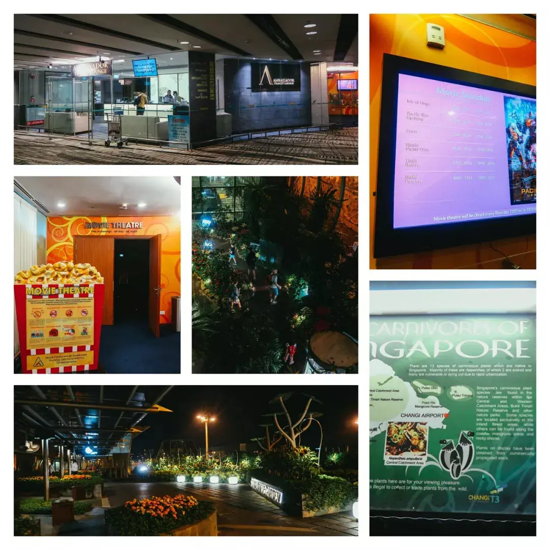Singapore-Every Chinese person should experience Singapore once, with restaurant and hotel recommendations