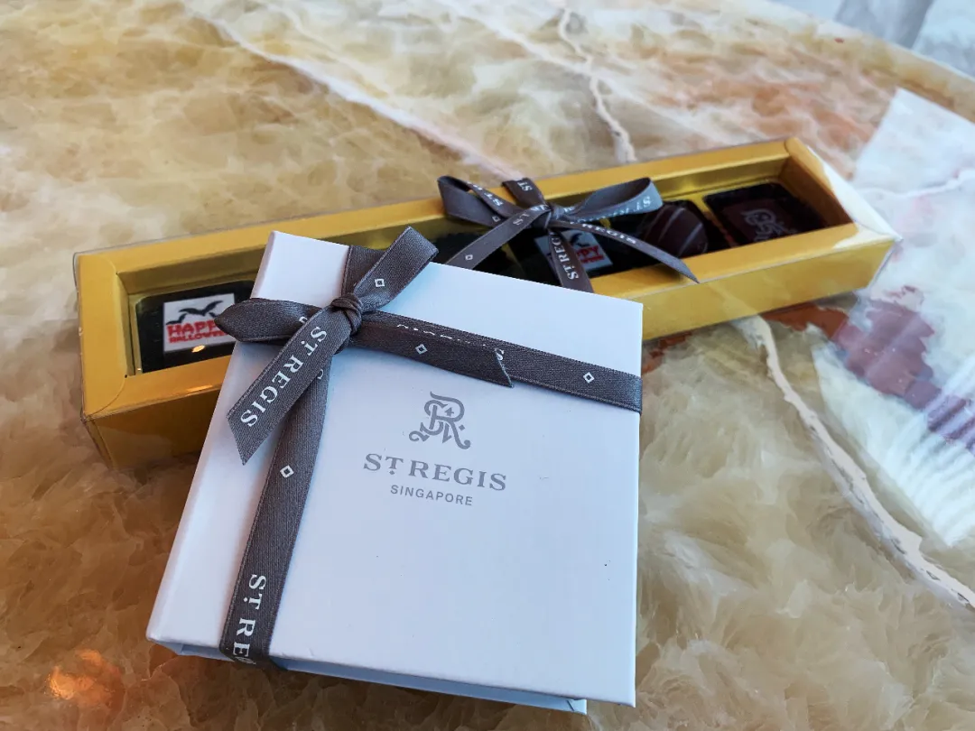 Singapore-When I come to Singapore again, I will stay at the St. Regis Singapore