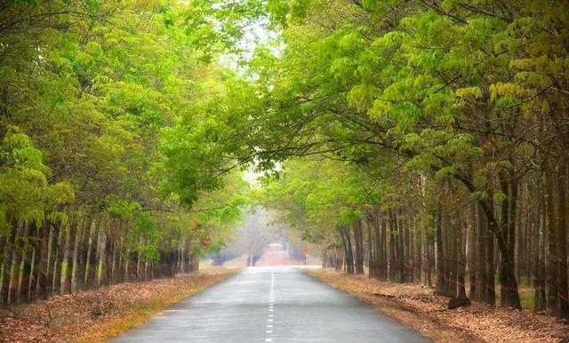 Ho Chi Minh-4 major attractions in Ho Chi Minh City, Vietnam, experience French feelings, worthy of being called the Little Paris of the East