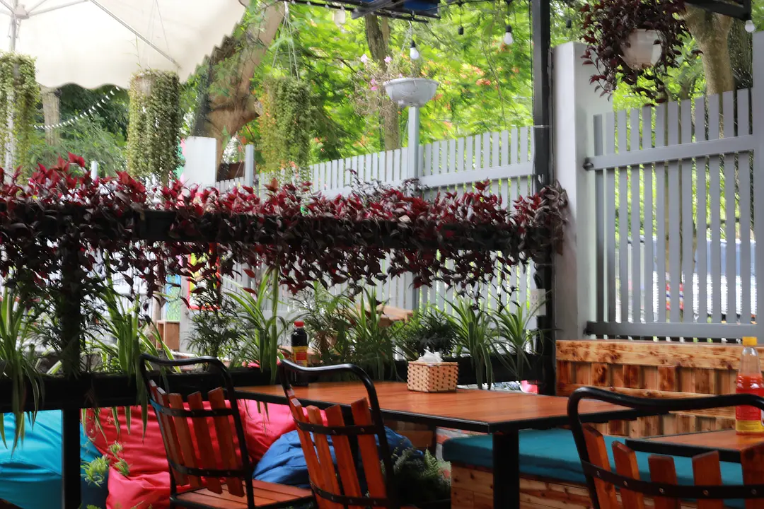 Hanoi-Hanoi and Cat Ba Island, Vietnam, 12 days of eating, drinking and fun travel records