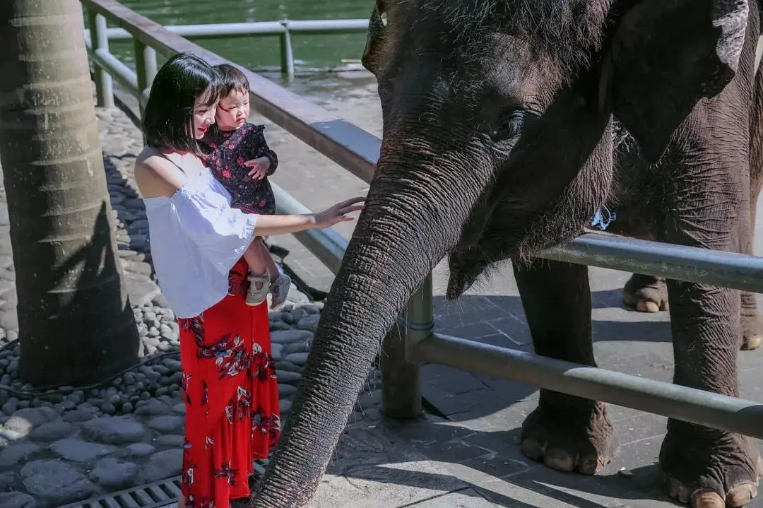 Bali-This is my second trip to Bali. Here are some must-see attractions