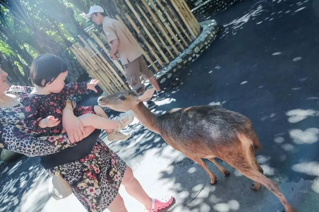 Bali-This is my second trip to Bali. Here are some must-see attractions