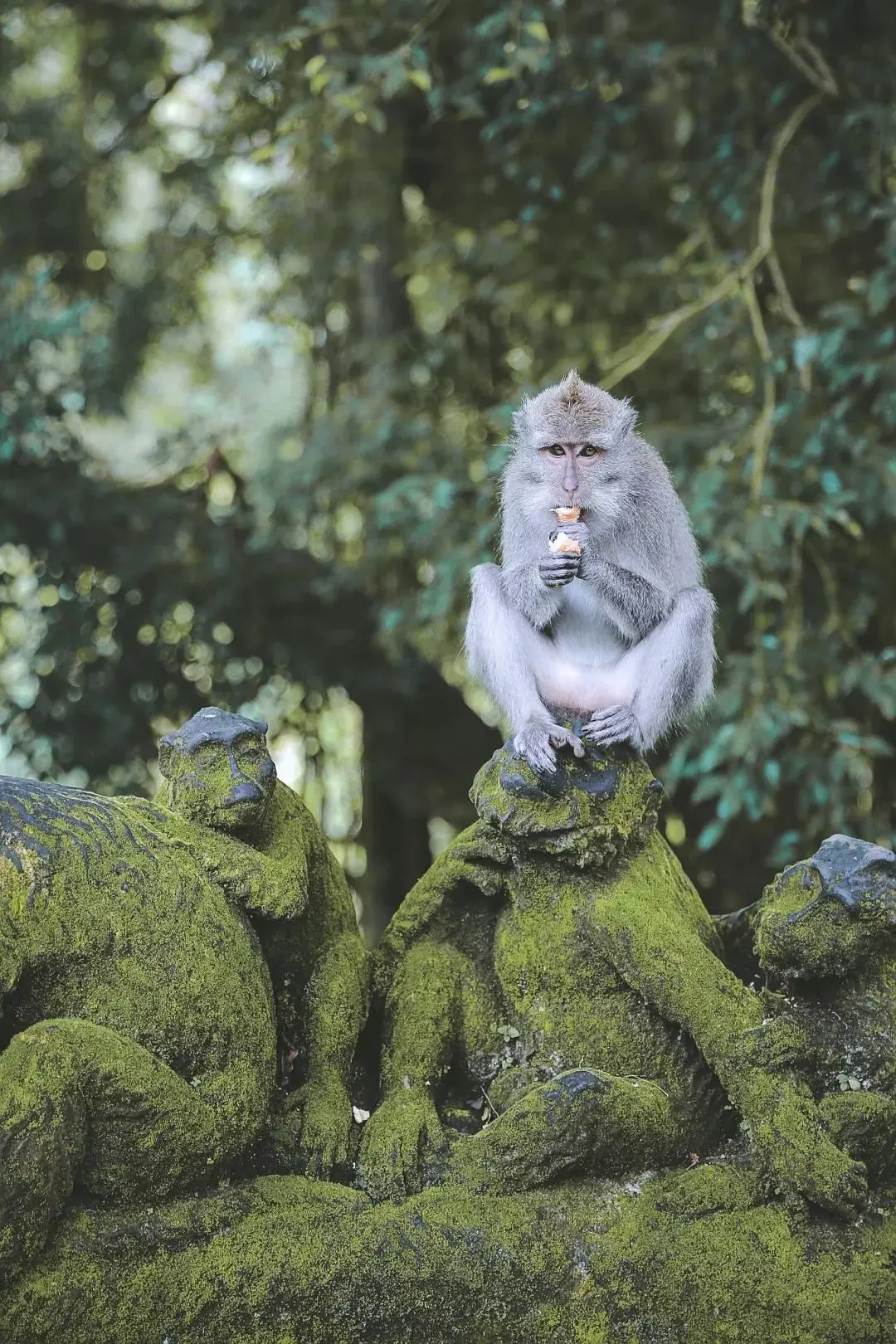 Bali-This is my second trip to Bali. Here are some must-see attractions