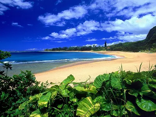 Bali-Bali Transportation Guide Bali Attention and Attractions Recommendations