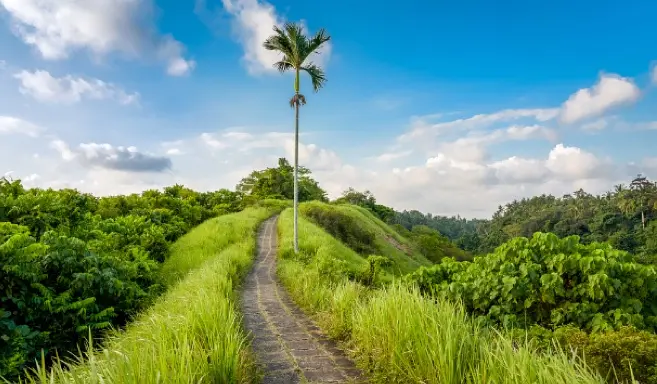 Bali-The most popular tourist spots in the social media, the must-see scenery in Bali