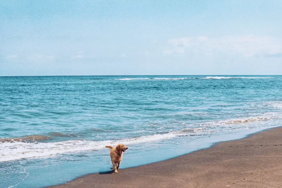 Bali-Bali's lesser-known attractions collection, no need to queue up to check in at the popular attractions