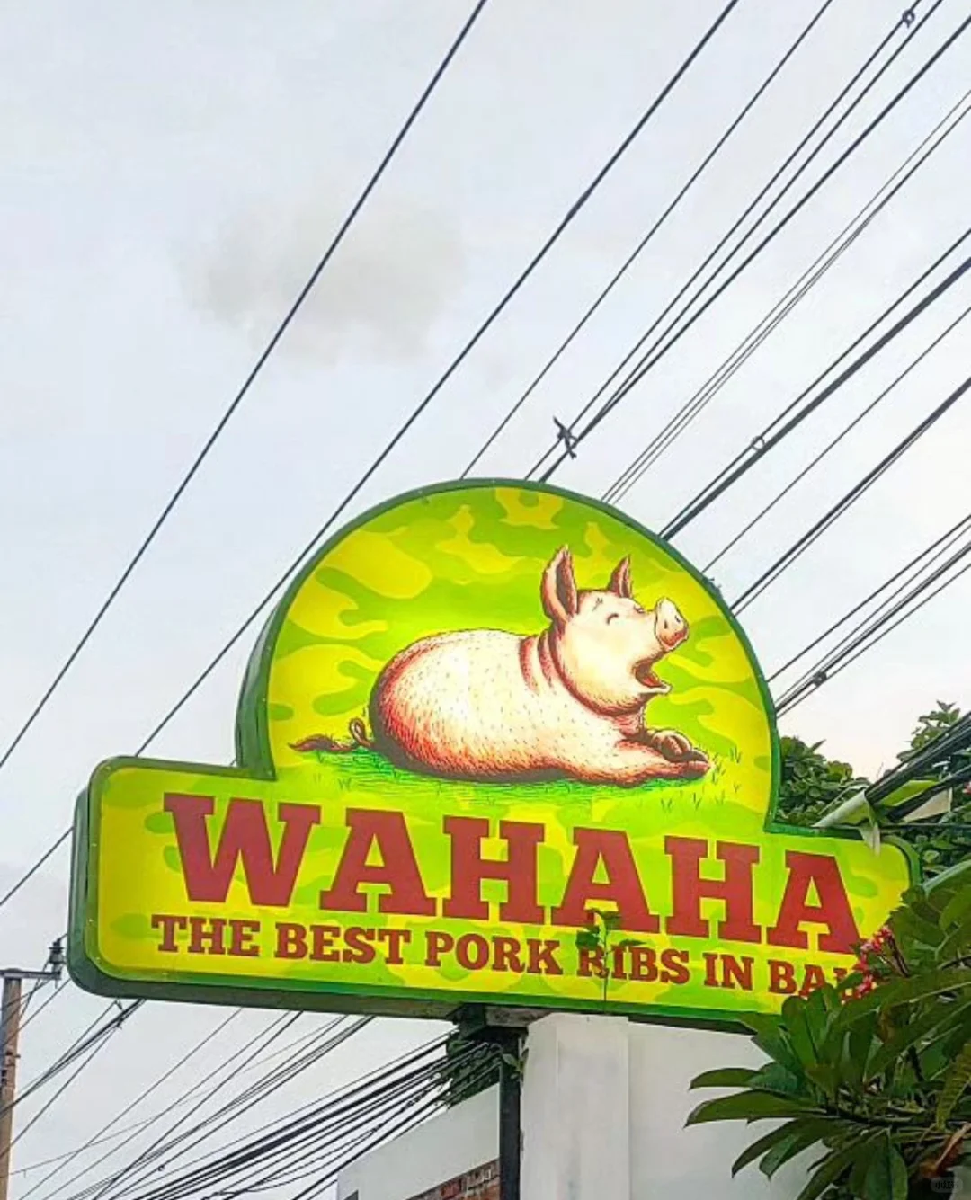 Bali-6 restaurants you must try when you come to Bali, they are so delicious!